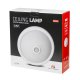 Maclean MCE324 Ceiling Light with PIR Sensor, 2x E27, Max 40W