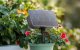 RainPoint ITP138SP+DIK10 Solar Drip Irrigation Kit