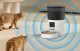 Умная автоматическая кормушка Rojeco RWSQ-06 3L с WiFi и камерой