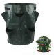 Strawberry Planting Bag, Green