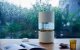 Smartmi Rainforest Humidifier | Увлажнитель воздуха