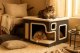 2-Tier Cat Condo House with Bed and Sisal Scratcher House 2