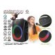 Rebeltec STAGE 300 Portable Bluetooth Speaker with Karaoke and RGB Lights, Black