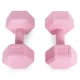 Набор шестигранных гантелей Modernhome HCD-6-PK 2x3 кг, розовый