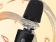 F23A Bluetooth karaoke skaļrunis ar mikrofonu un RGB LED
