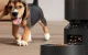 Умная кормушка для животных Petlibro Granary WiFi 5L Черная