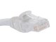 Cat 6 Ethernet Network Cable 30m LAN Patch Cord RJ45 UTP, Grey