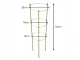 Plant Support with 3 Rings 60cm Green DIVODV
