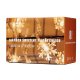 Ikonka Snowflake LED String Lights 10m 100LED, Cold White