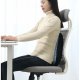 Ortopediskais Jostasvietas Spilvens Malatec 21949 | Lumbar Pillow