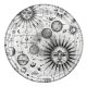 Popsockets 2 Plant Cosmic Sun Phone Holder and Stand