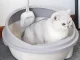 Открытый лоток для кошек с высокими бортиками и совком, 44.5x48.5 см
