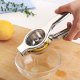 Manual Citrus Juicer
