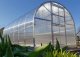 Теплица Кlasika 36 (3X12M) С Фундаментом И Покрытием Из Поликарбоната...
