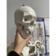 Cilvēka skeleta anatomiskais modelis 170 cm, uz statīva | Anatomical model of the human skeleton