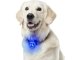 Светящийся LED брелок на ошейник для собак и кошек, USB...