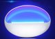 UV Insecticide Lamp for Mosquitoes Insects Flies