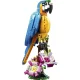 Lego Creator 31136 Экзотический попугай