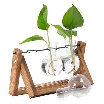 Hidroponiskā vāze ar koka statīvu un 3 traukiem