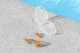 Swimming set BESTWAY 26032 Nose clip and earplugs + carrying case