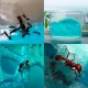 Обучающий гелевый муравьиный аквариум-ферма, 16x14 см