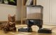 Oneisall Dual Automatic Pet Feeder PFD-002 Voice Recorder 2kg