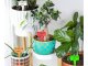 Labels for seeds and plants 50 pcs., Different colors