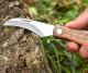 Folding Pocket Knife with a Brush for Mushroom Hunting Foraging (Mushrooming)