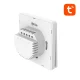 Умный WiFi выключатель света Gosund SW9 Tuya 10A