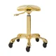 Gabbiano Fine Gold Roll Speed Frizieru Taburete
