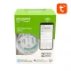Умная розетка Gosund SP111 WiFi 3680W 16A, Tuya, комплект 2 шт.