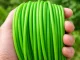DIVODV Trimmer Line 15m 2.4mm, Green