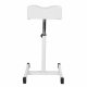Pedicure Footrest Adjustable Ergonomic Salon Stool, White
