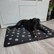Waterproof XXL Dog Bed with Washable Cover 100x70cm Purlov 24862