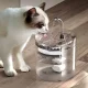 Automātiskā dzirdinātava mājdzīvniekiem 2 L ar filtru, caurspīdīga