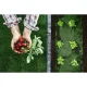 Agrotekstils pret nezālēm Plonos 1,6x50 m 90g/m² + 100 tapas, zaļš
