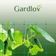 Gardlov 00023980 Augu atbalsta tīkls 2x20m, Zaļš