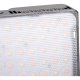 Amaran Ace 25x LED Video Light, Silver