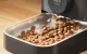 Автоматическая кормушка для животных Oneisall PF05 3L с миской из...