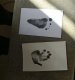 Mazuļa rokas (plaukstas) / kājas (pēdas) nospiedums Ruhhy 20586 | Baby Hand Foot Print