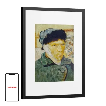 Digitālais foto rāmis SwitchBot AI Art Frame 13.3" W8402010, E Ink, Wi-Fi, melns
