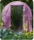 Garden Greenhouse Tunnel 2x3m (6m2) Plonos, Pink