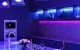 Умная Светодиодная Лента Wi-Fi Meross MSL320 2x5м RGB HomeKit