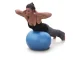 Гимнастический мяч 4Fizjo Reh Ball 65 см, синий