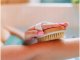 Natural Bristle Body Massage Brush for Dry and Wet Use