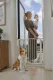 Ecotoys drošības vārtiņi kāpnēm un durvīm, 74-105 cm, baltā krāsā