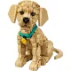 Конструктор LEGO Icons 11384 Golden Retriever Puppy