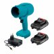 Cordless Leaf Blower 21V 300W with 2 Batteries, Blue