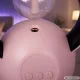 2-in-1 Insect Killer Lamp and Air Humidifier with USB, LED