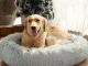 Soft Plush Bed for Dogs and Cats, 80 cm, Light Grey